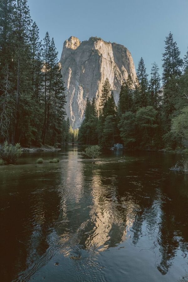 Teller mit Vollkornbrot, Avocado und Tomaten